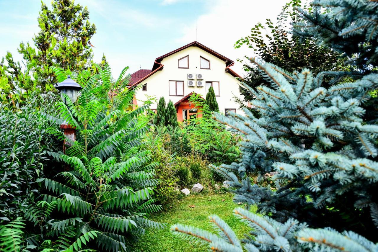 Casa Moteasca Hotel Mihai Viteazu  ภายนอก รูปภาพ
