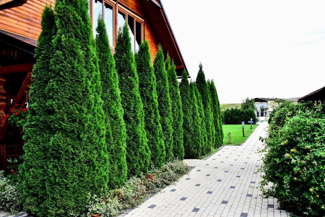 Casa Moteasca Hotel Mihai Viteazu  ภายนอก รูปภาพ