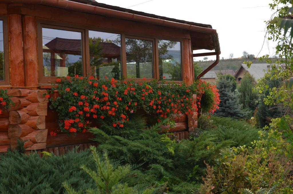 Casa Moteasca Hotel Mihai Viteazu  ภายนอก รูปภาพ